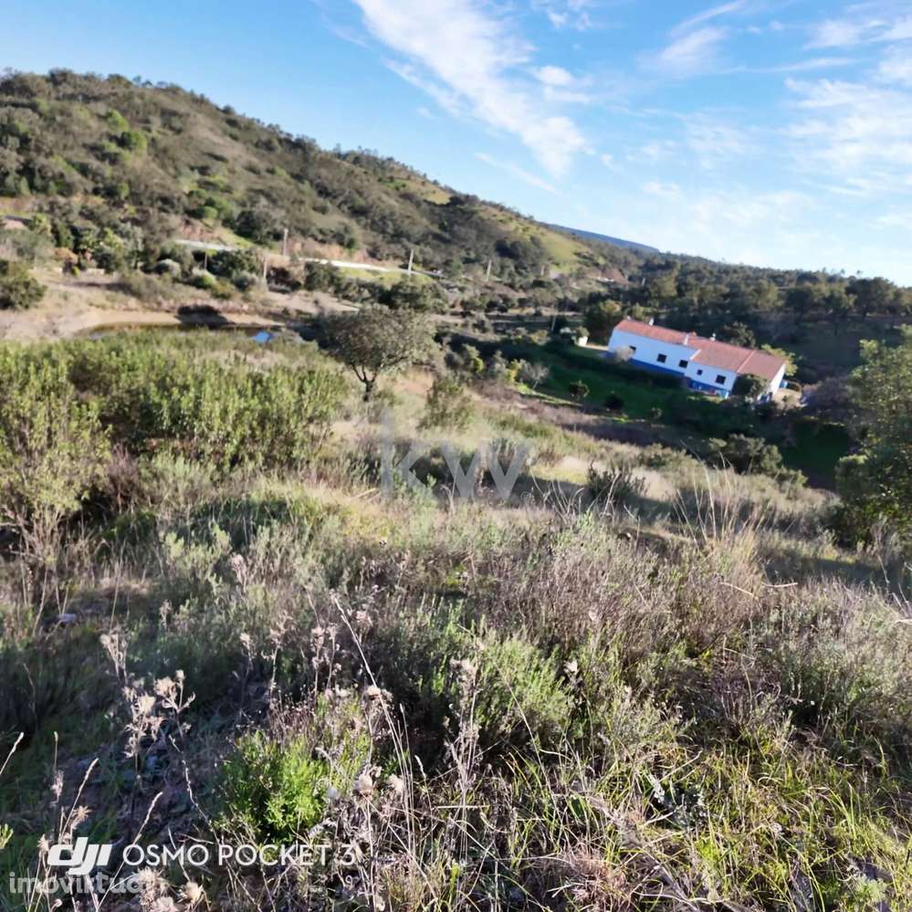 Terreno Rústico em Vale Figueira - S. Bartolomeu de Messines - Grande imagem: 3/11