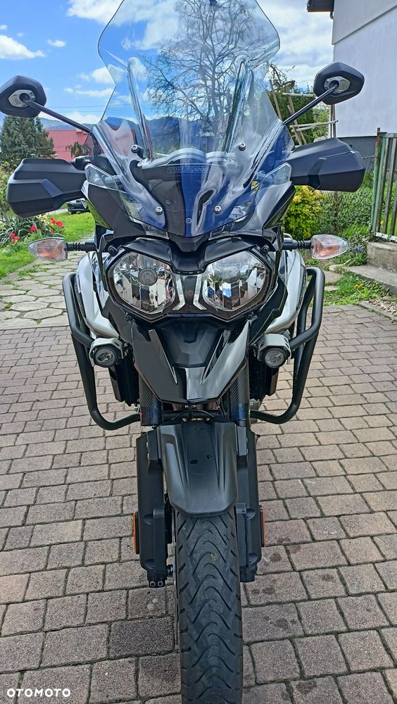 Triumph Tiger - 11