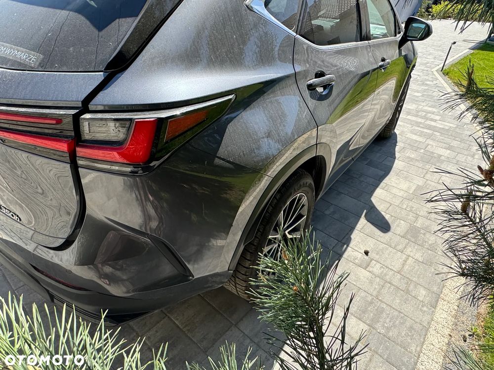 Lexus NX 350h Business 2WD - 10