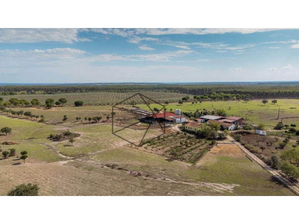 Quinta de 36 hectares para venda em Ponte de Sôr - Grande imagem: 5/29