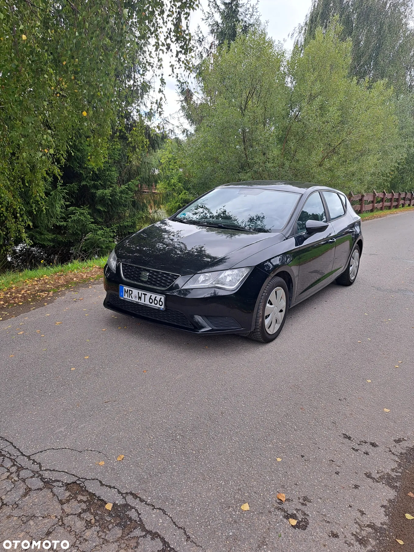 Seat Leon - 8