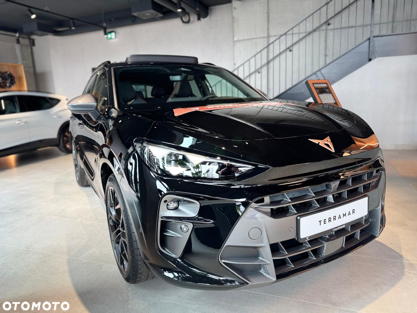 Cupra Terramar - 3
