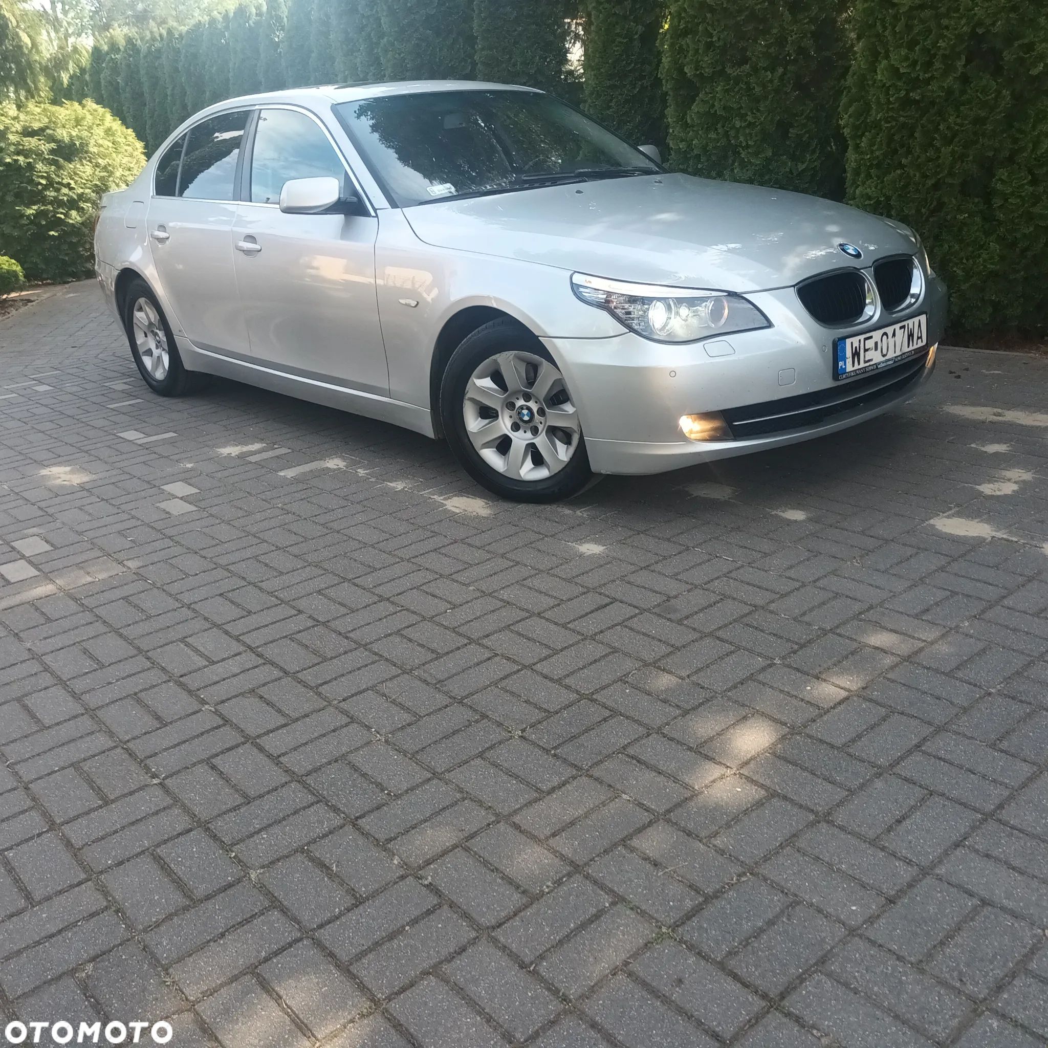 BMW Seria 5 - 1