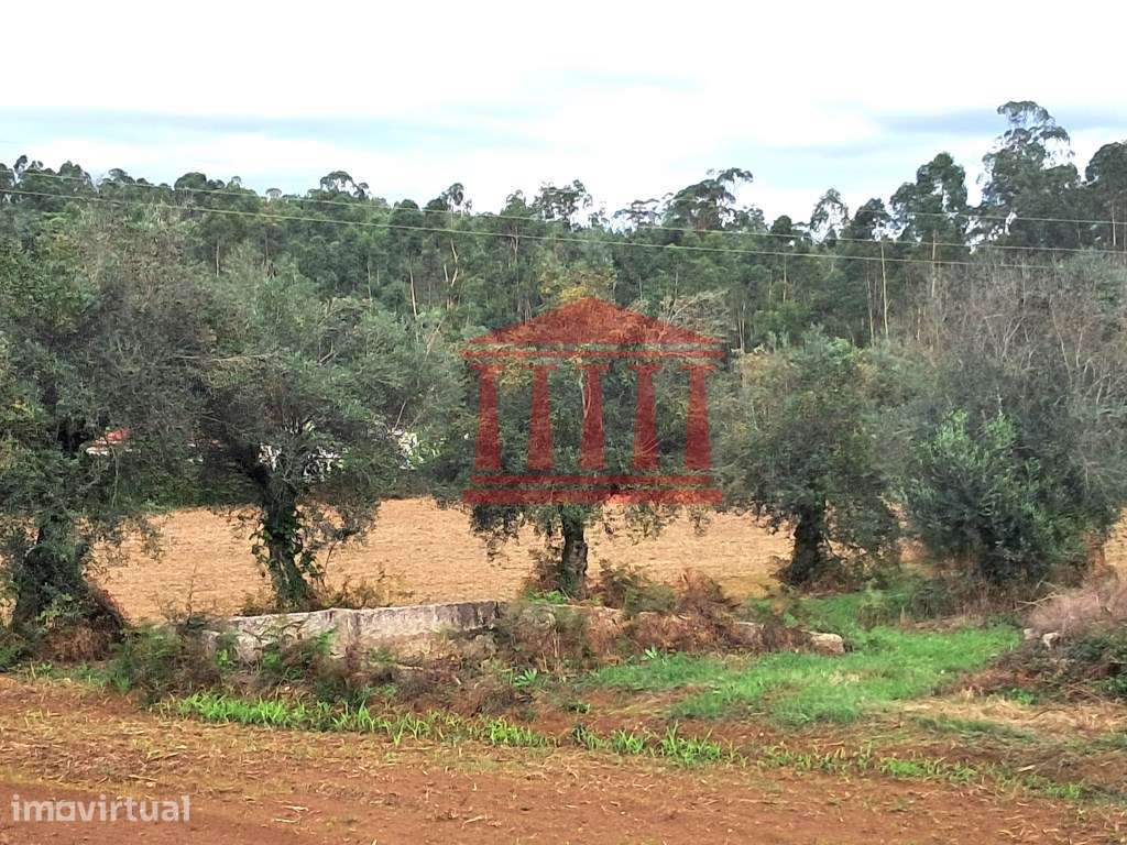 TERRENO PARA CONSTRUÇÃO PARA VENDA EM BARCELOS - Grande imagem: 3/7