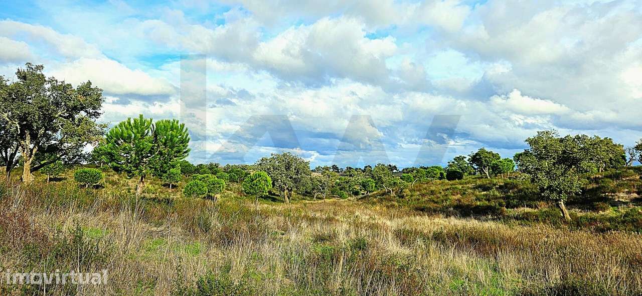 Refúgio em Grândola: 4,5 Hectares com Viabilidade, Nascente e Proximid - Grande imagem: 3/32