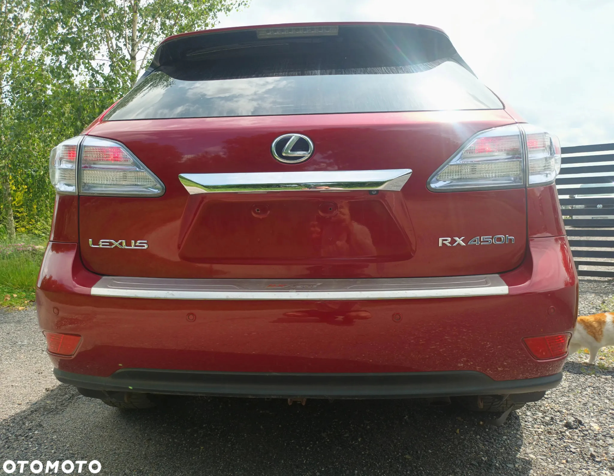 Lexus RX 450h (hybrid) Executive Line - 12