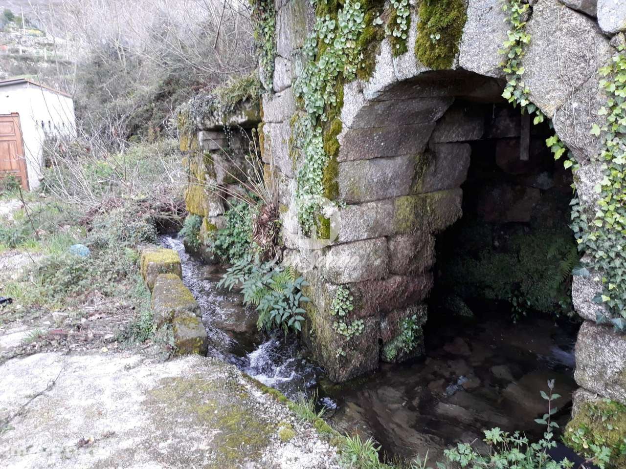 Moradia individual para recuperar com moinho, 1038m2 em Mondim de B... - Grande imagem: 3/18