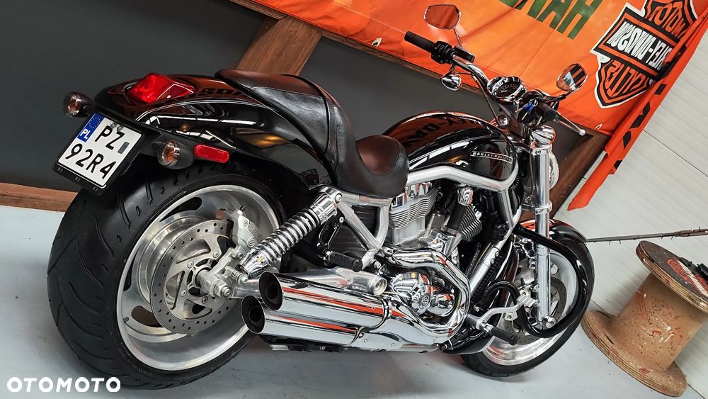 Harley-Davidson Softail V-Rod - 31