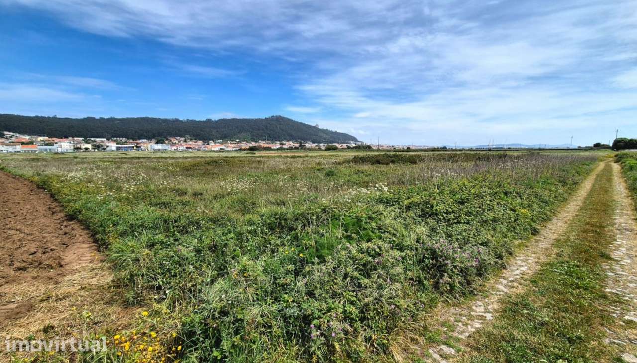 Venda de terreno agrícola c/ 9610m², Areosa, Viana do Castelo - Grande imagem: 2/20