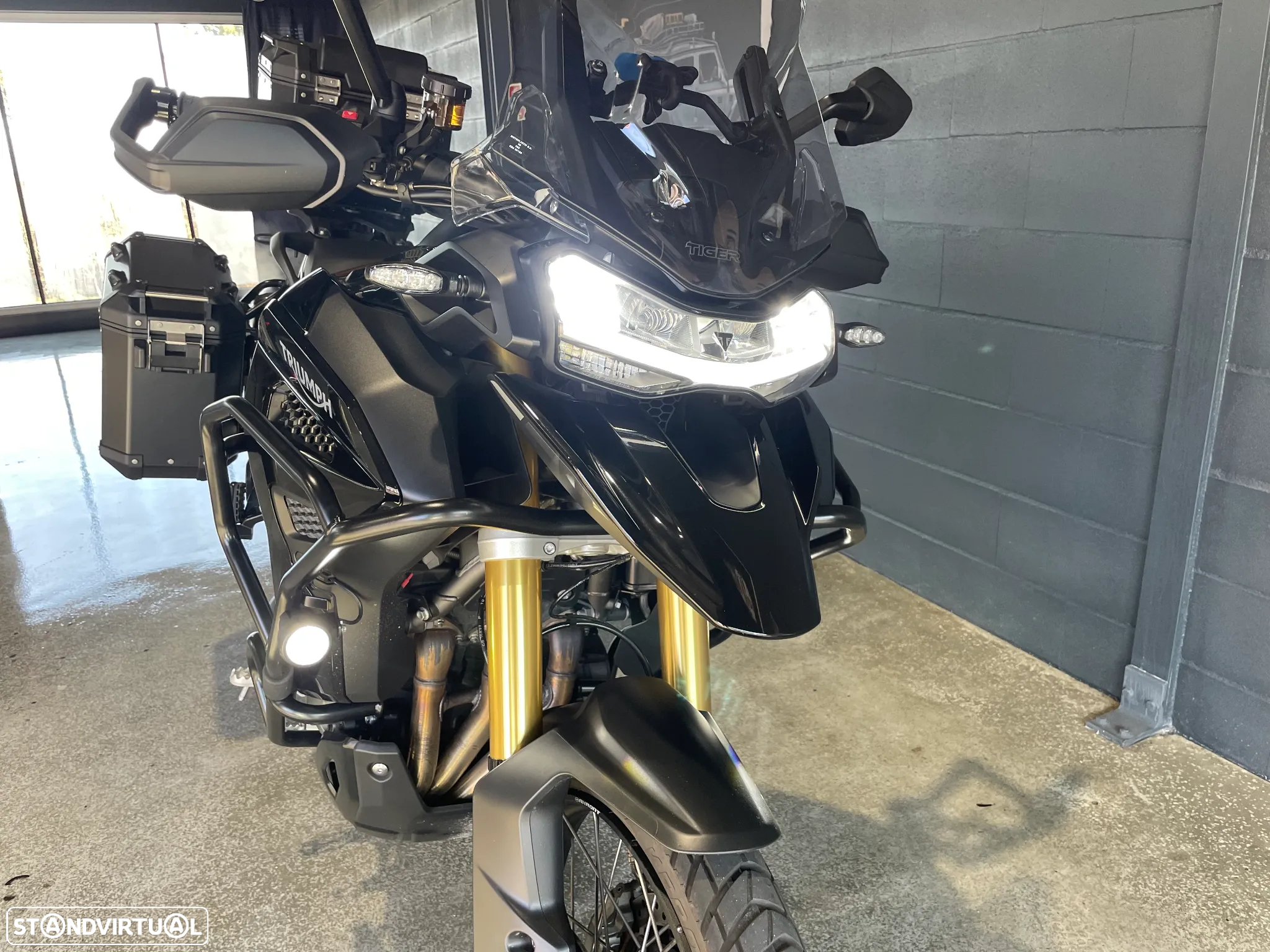 Triumph Tiger RALLY EXPLORER - 7