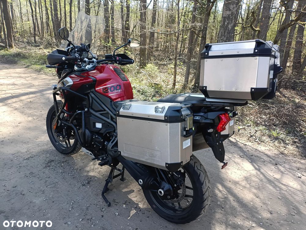 Triumph Tiger - 3