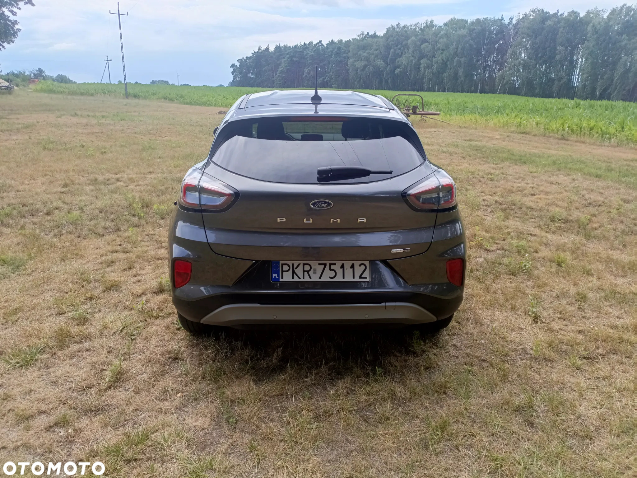 Ford Puma 1.0 EcoBoost Hybrid COOL & CONNECT - 8
