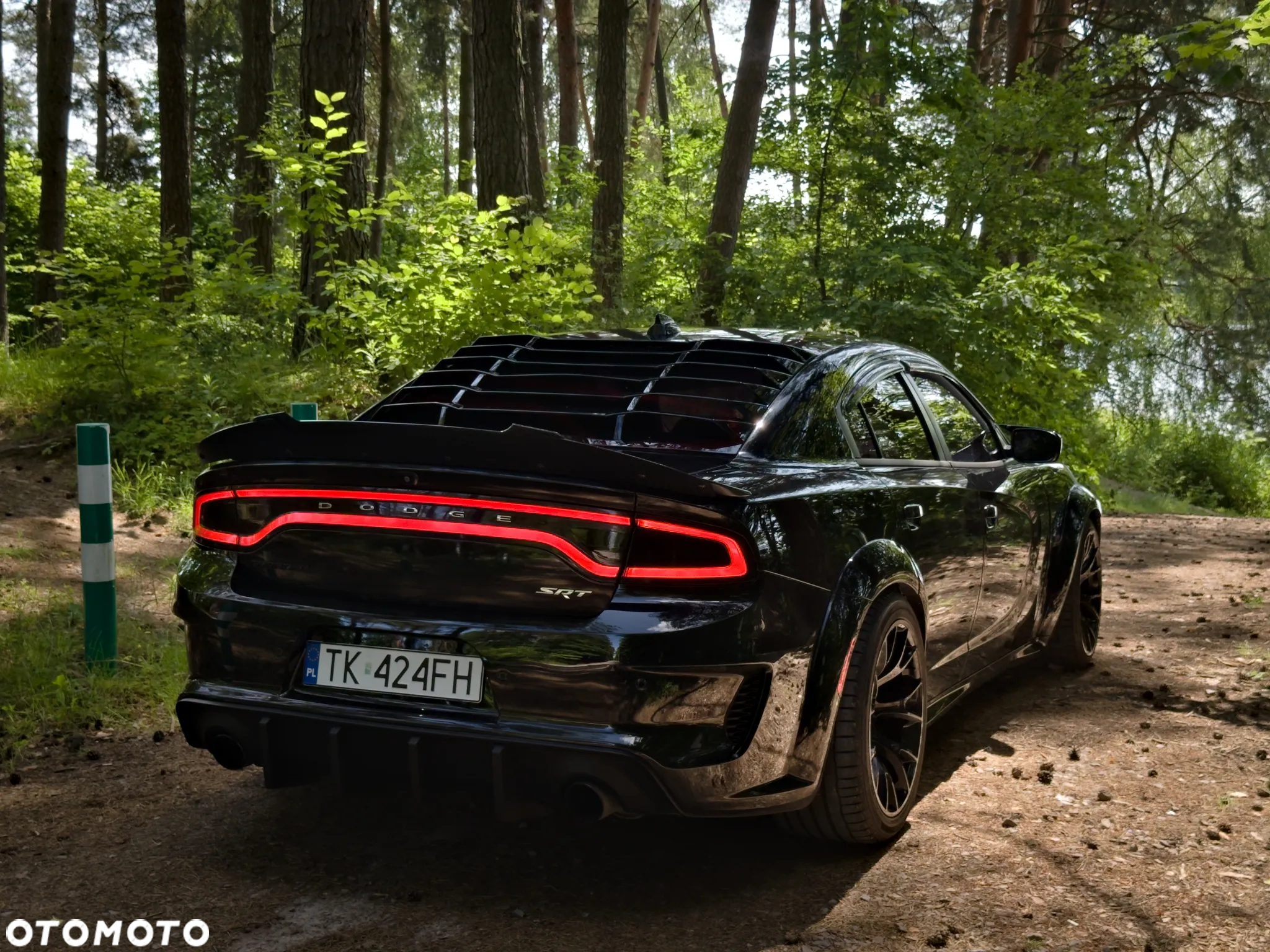 Dodge Charger 6.4 Scat Pack Widebody - 13