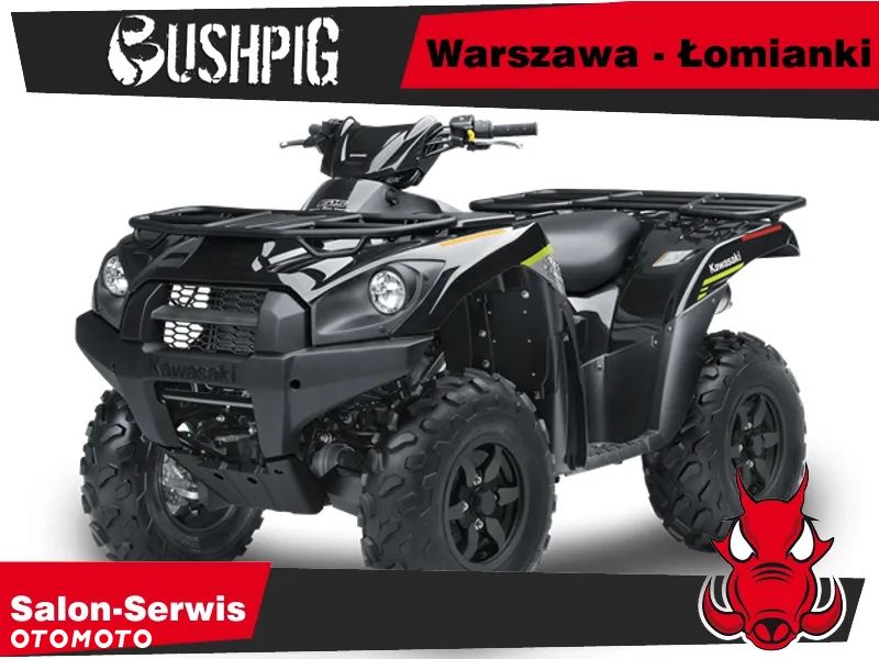 Kawasaki Brute Force - 1