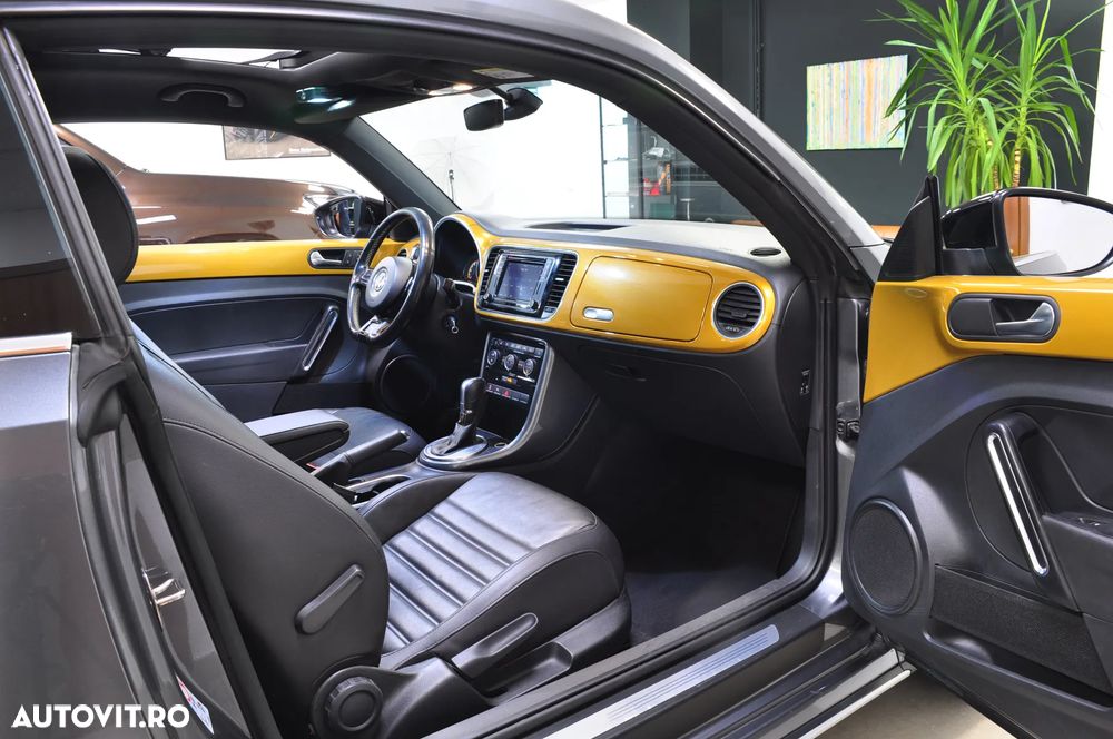 Volkswagen Beetle - 12