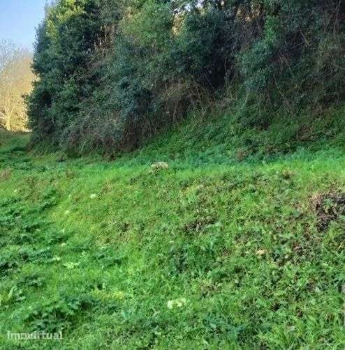Terreno para cultivo de horta - Grande imagem: 3/4