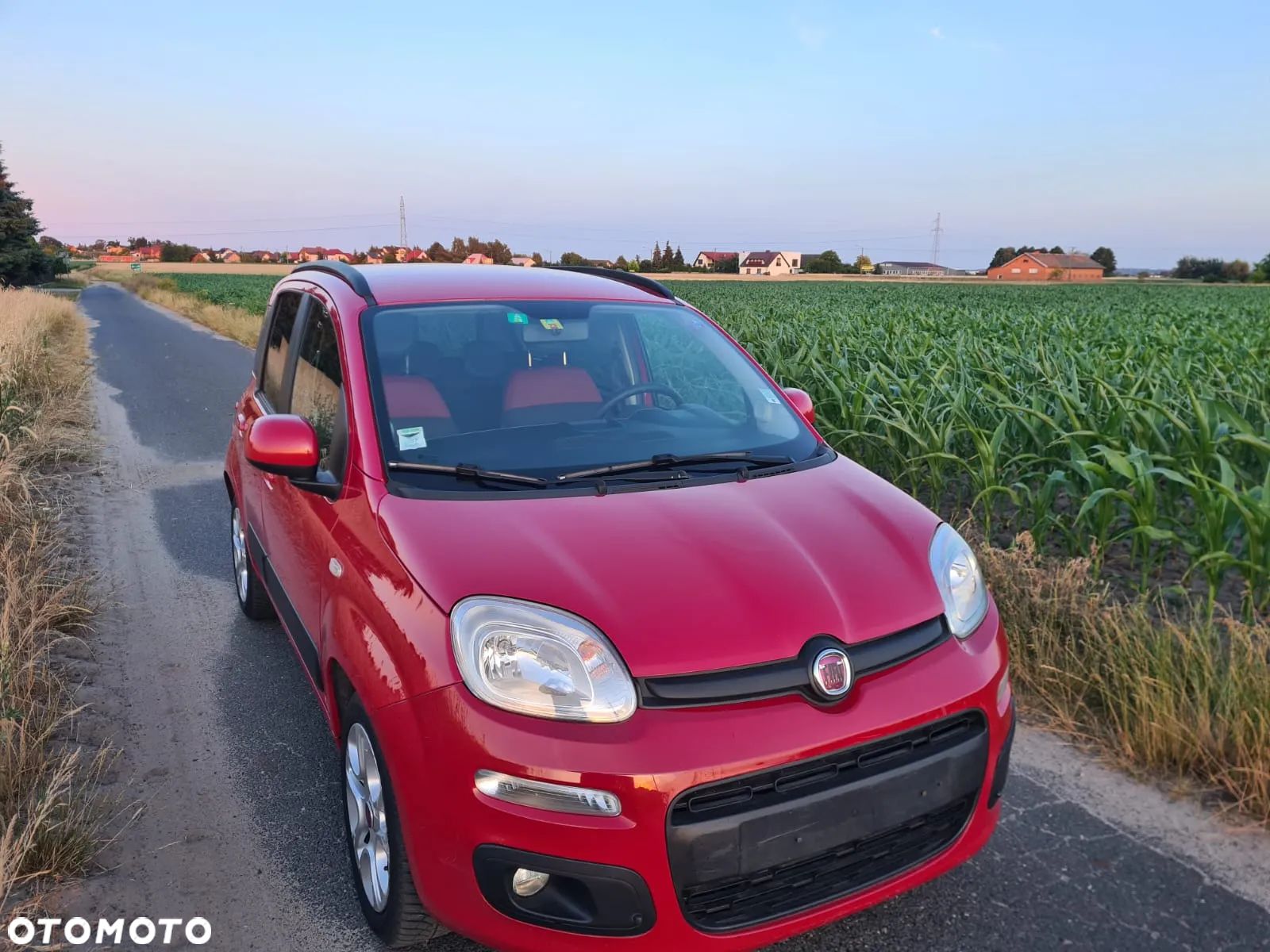Fiat Panda 1.2 Dynamic - 1