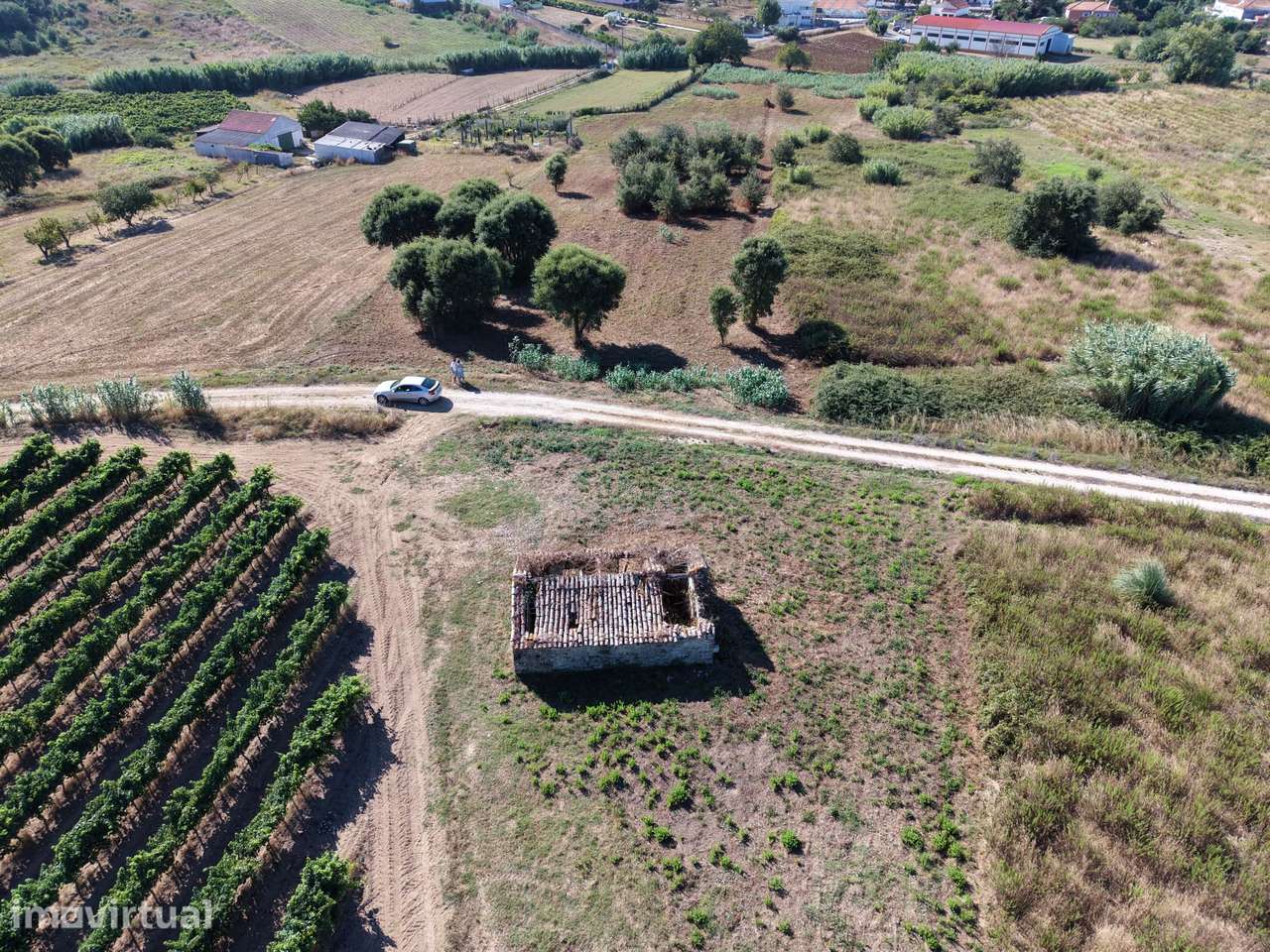 Terreno rustico em Carvoeira, torres vedras - Grande imagem: 3/11