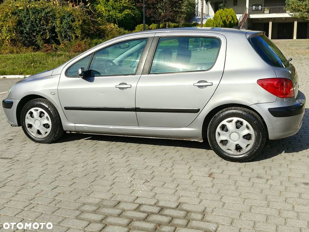 Peugeot 307 110 Quiksilver - 17