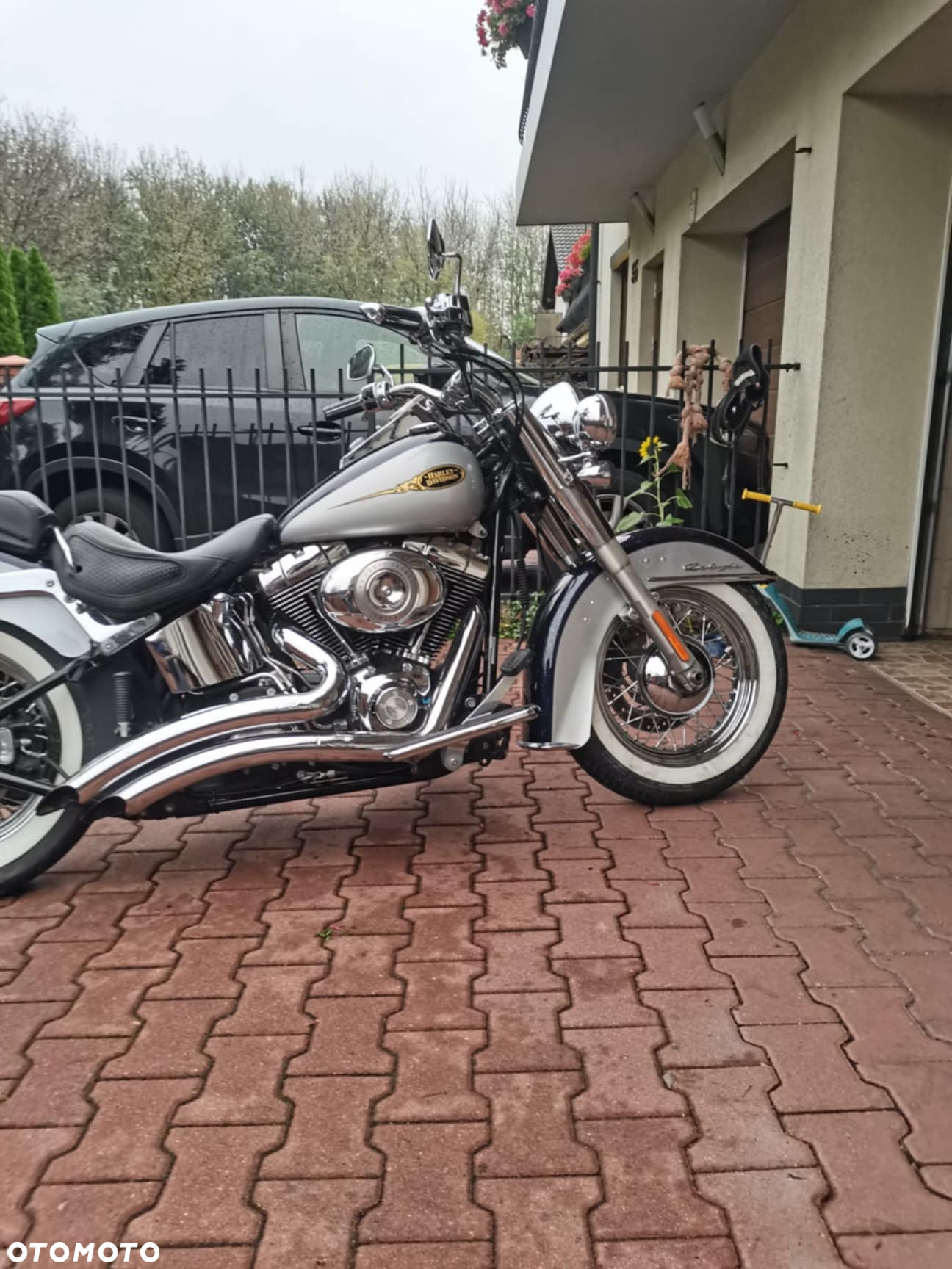 Harley-Davidson Softail Deluxe - 5