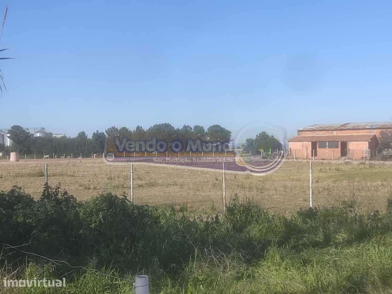 Terreno em Salvaterra de Magos (S563) - Grande imagem: 5/6