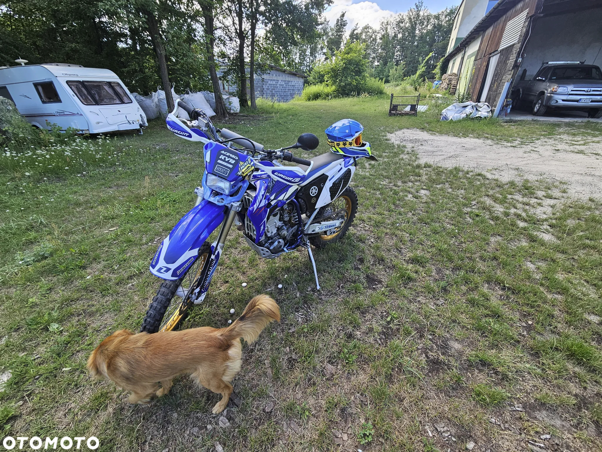 Yamaha WR