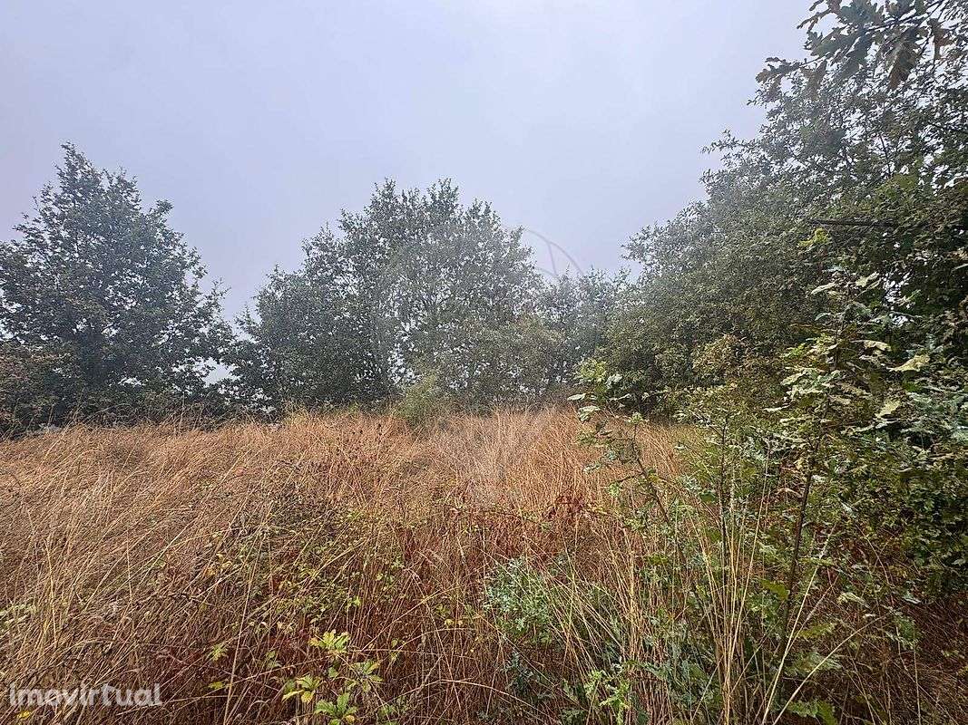 Terreno  para venda - Grande imagem: 5/14