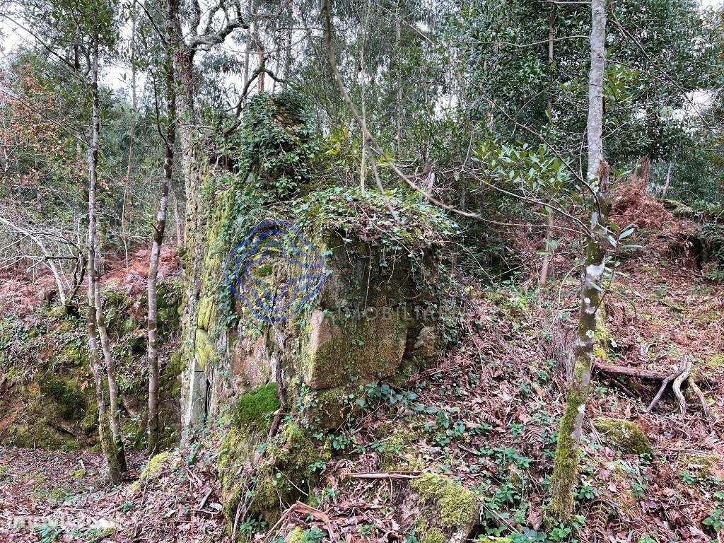 Moradia para recuperar com terreno de 6500 m2 - Grande imagem: 2/9