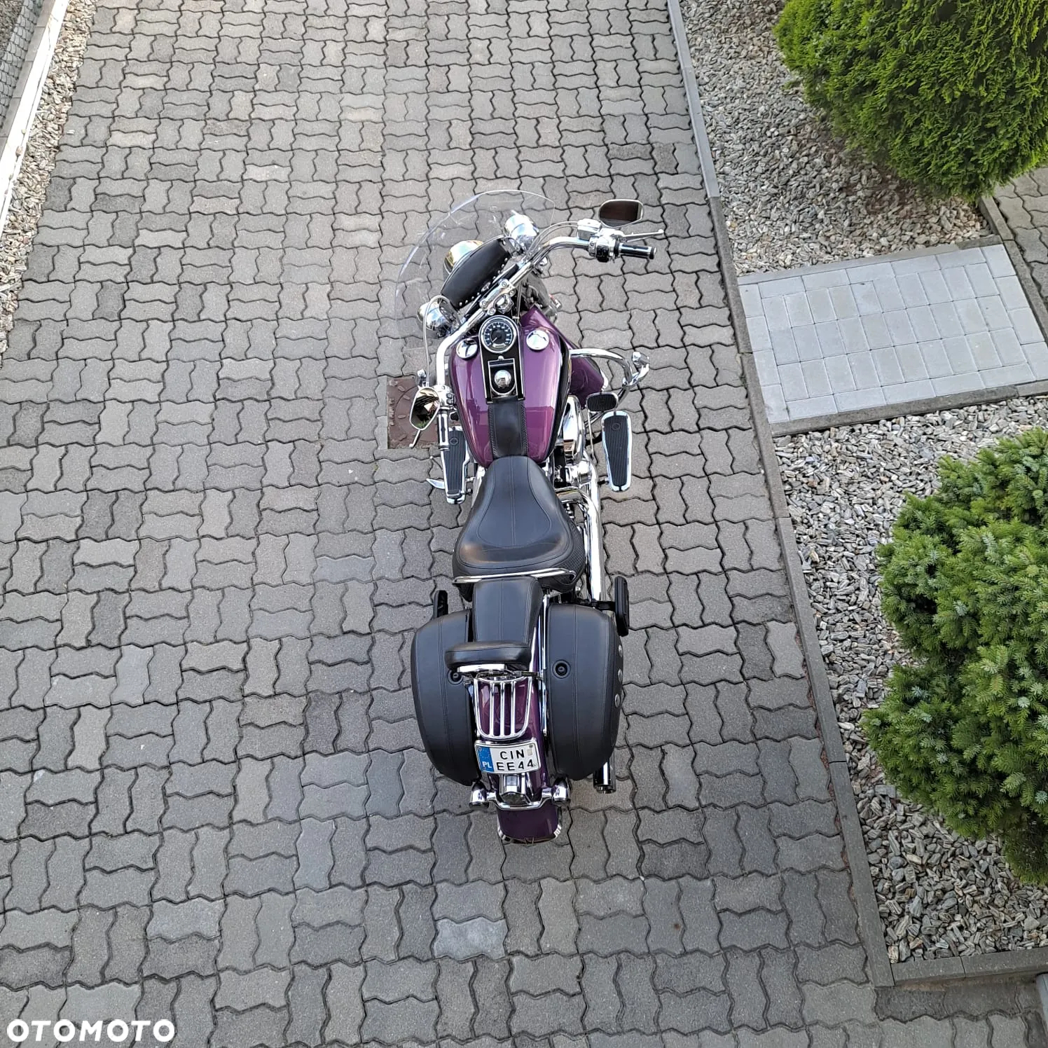 Harley-Davidson Softail Deluxe - 5