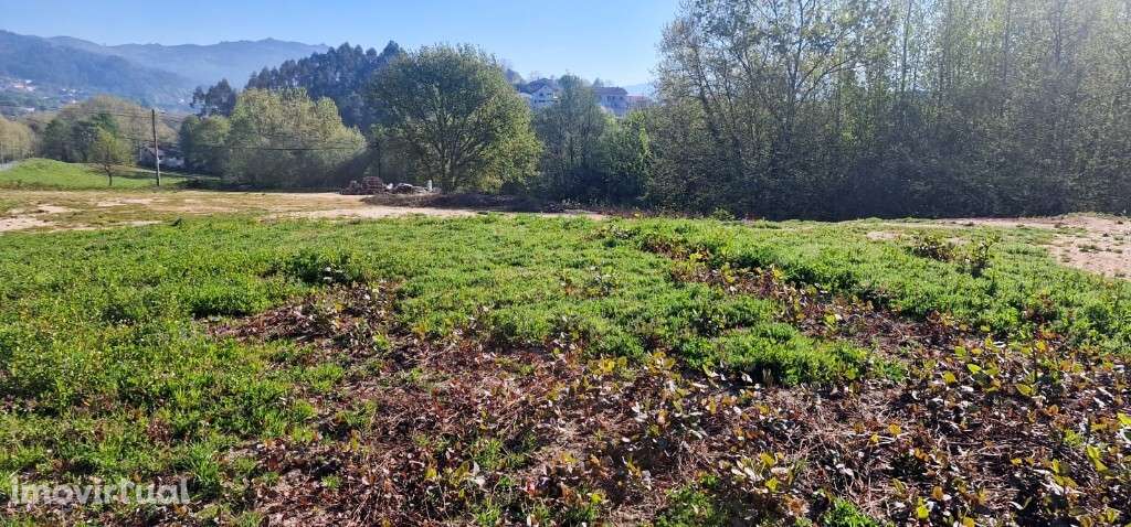 Terreno c/ viabilidade construtiva - Eira Vedra - Grande imagem: 2/10