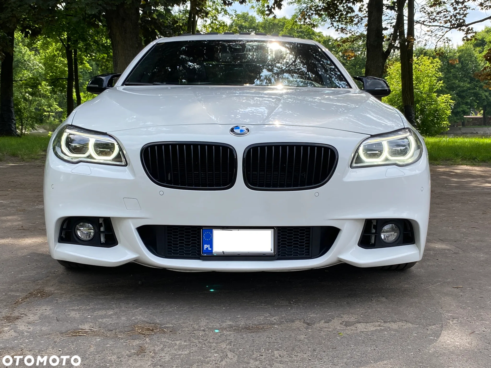 BMW Seria 5 550i - 2