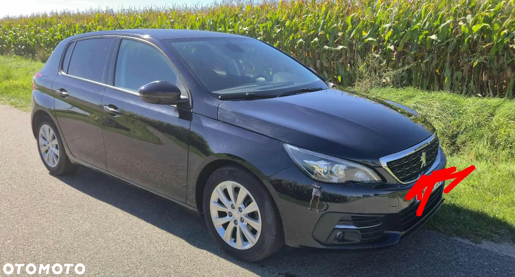 Peugeot 308 1.5 BlueHDi Access S&S - 3