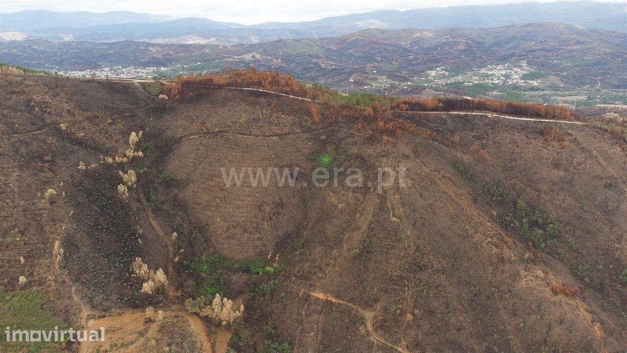 Terreno / Fundão, Telhado - Grande imagem: 5/12