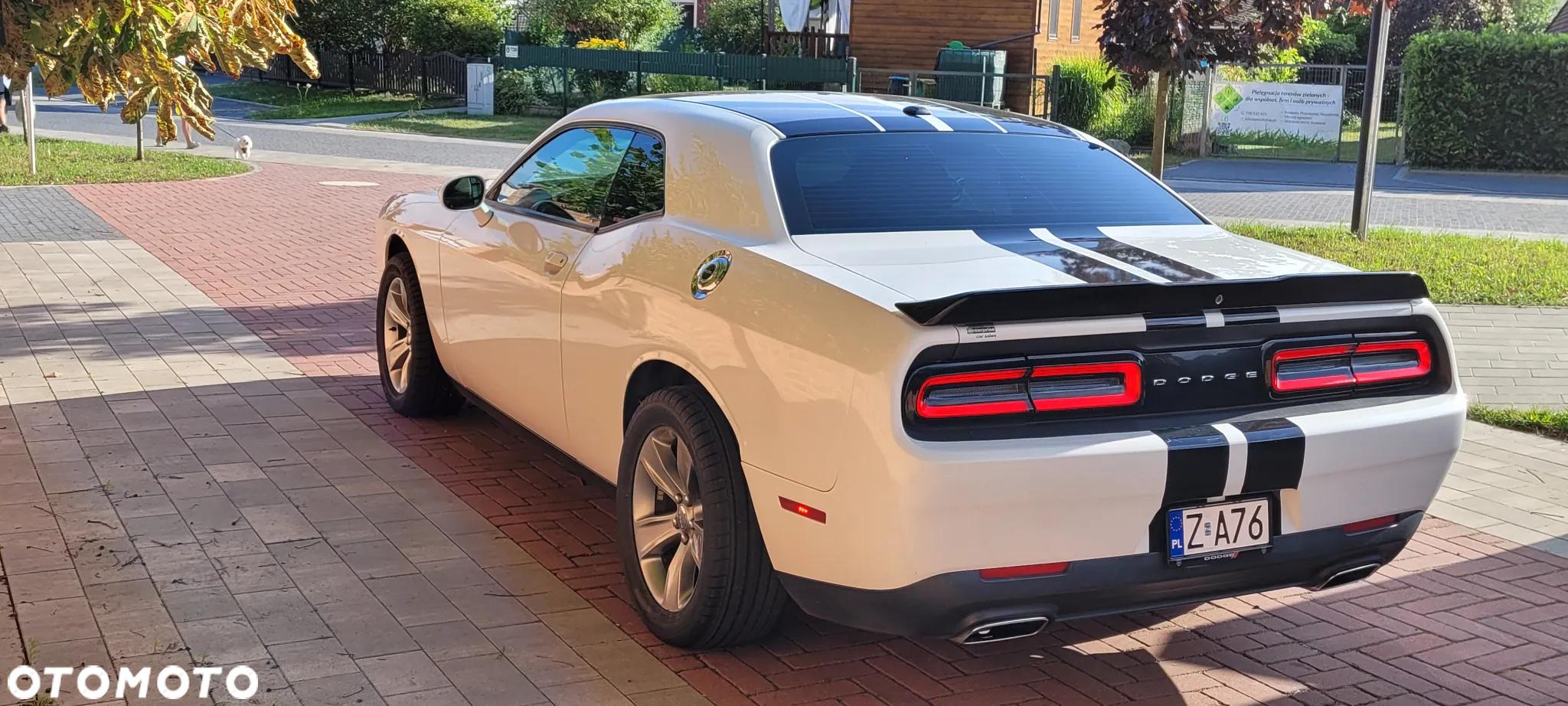 Dodge Challenger - 26