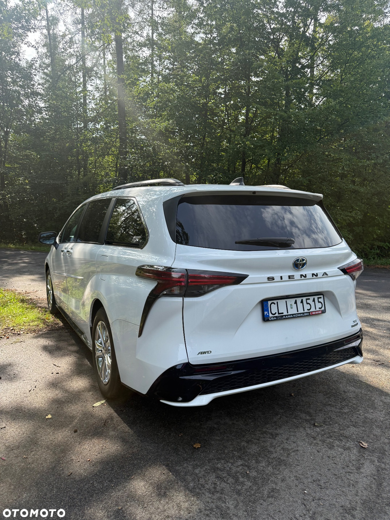 Toyota Sienna - 6