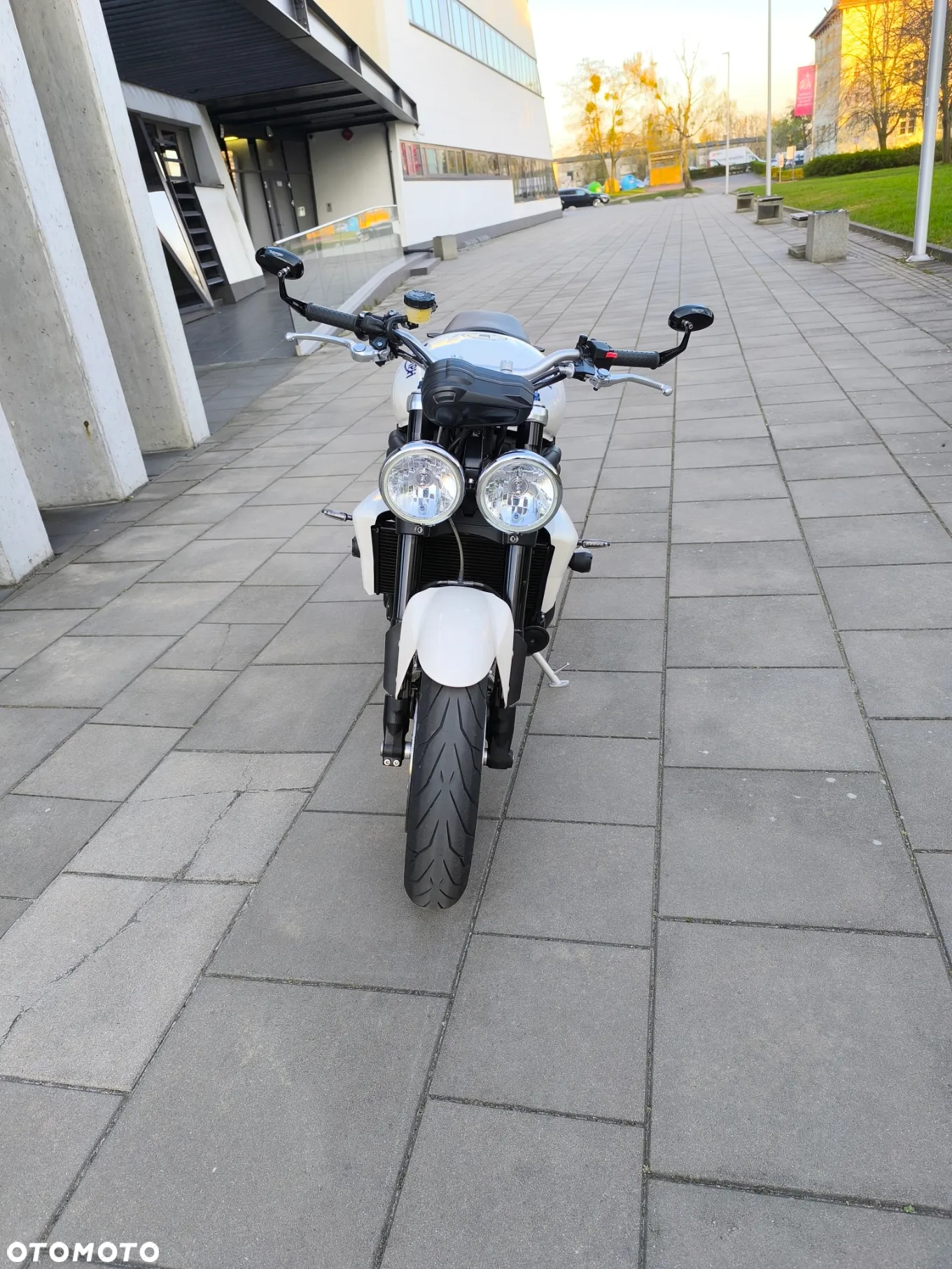 Triumph Speed Triple - 7