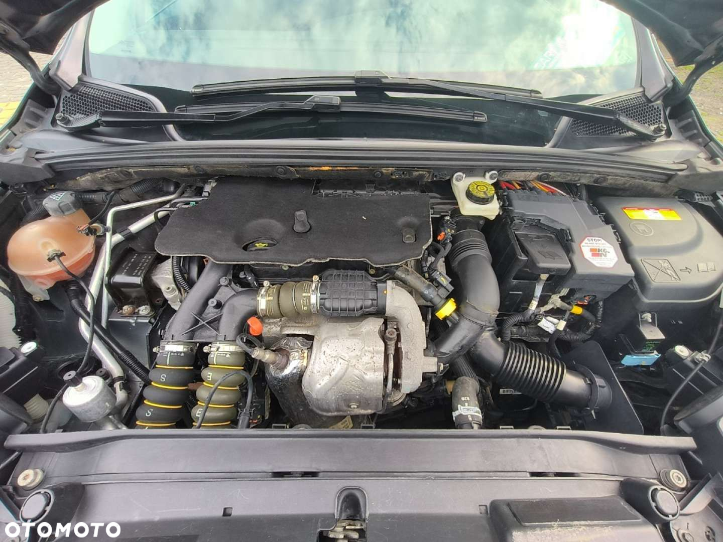 Citroën C4 - 20