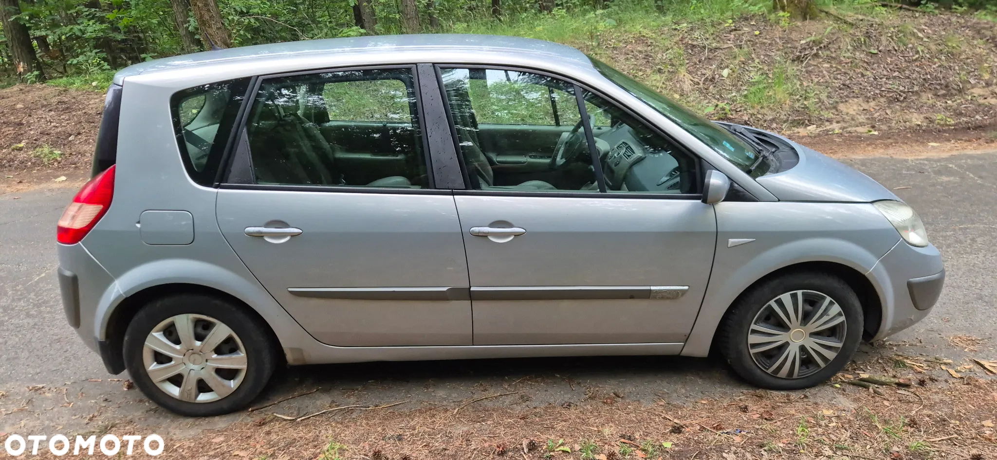 Renault Scenic - 5