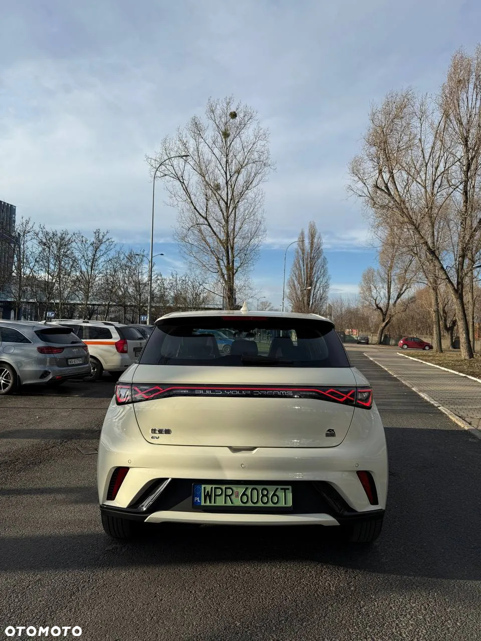 BYD Dolphin Active - 6