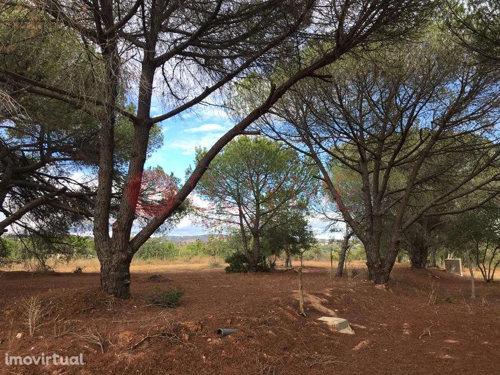 Terreno Misto com Potencial Residencial e Rústico em Boliqueime - Grande imagem: 2/16