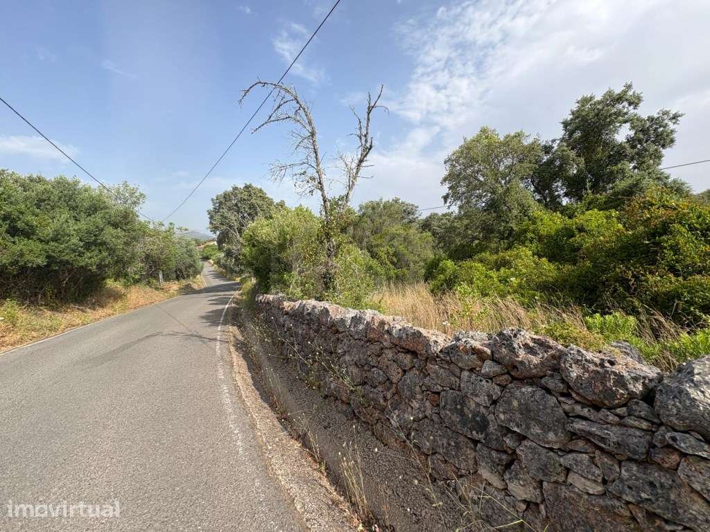 Terreno Rustico de 9.300 m² nos Palmeiros, Salir, Algarve - Grande imagem: 5/14