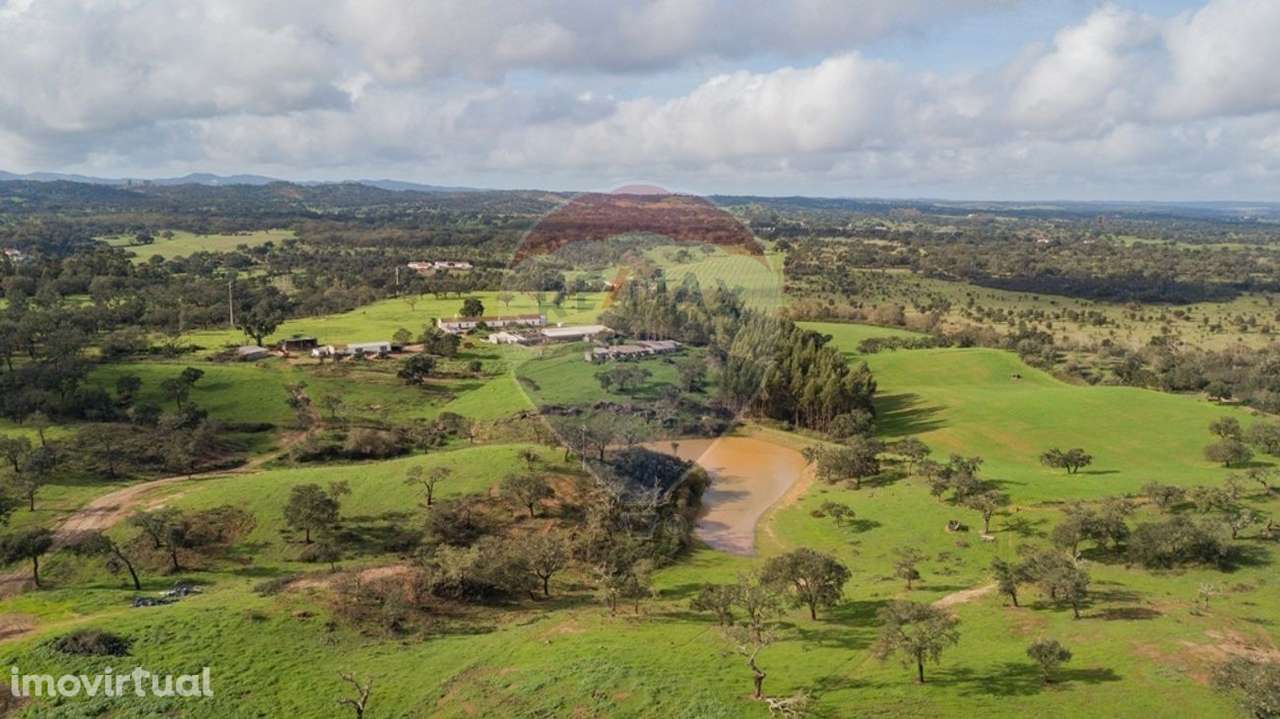 Quinta T3 para venda - Grande imagem: 3/31