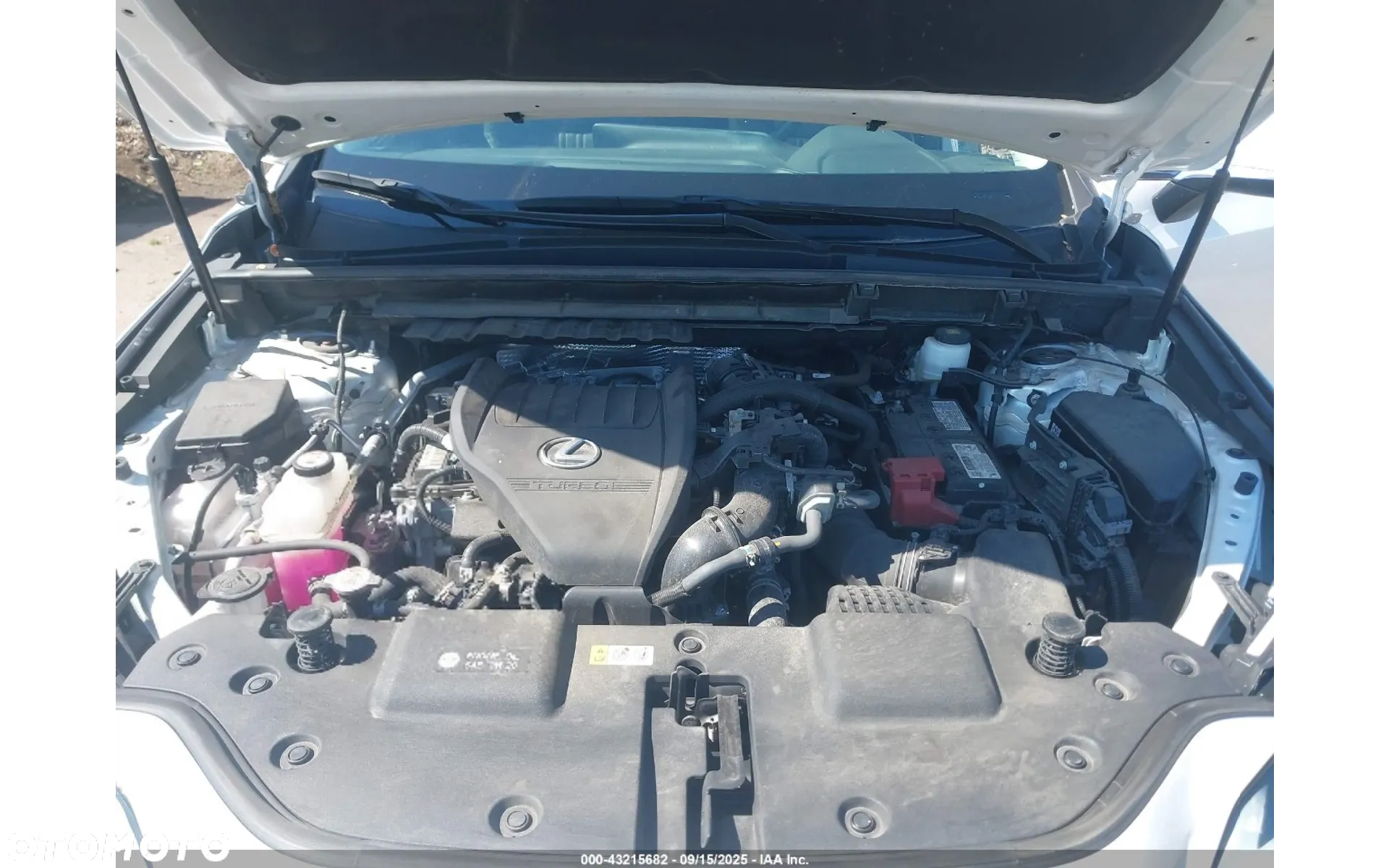 Lexus NX 350h Business AWD - 13