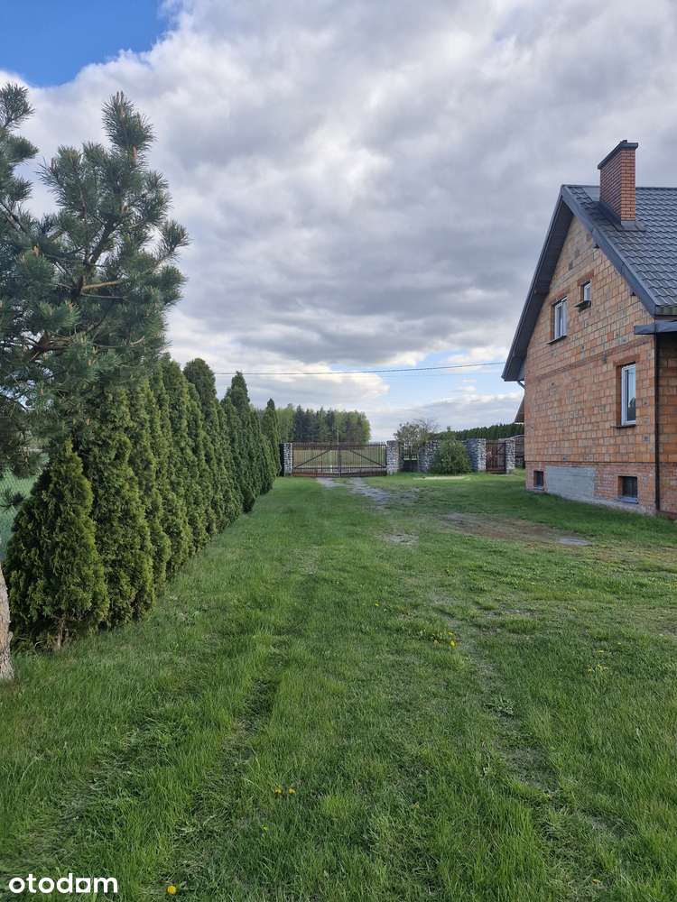 Dom wolnostojący z ogrodem i garażem - Pełny obrazek: 5/20