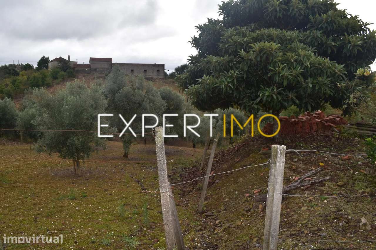 Terreno para construção - Grande imagem: 2/8