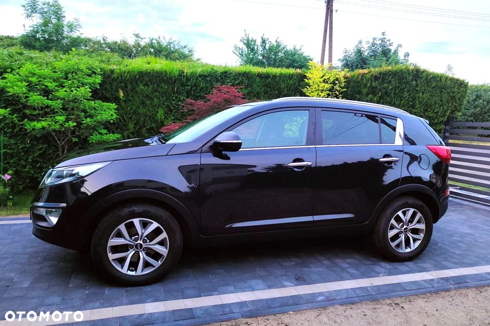 Kia Sportage - 7