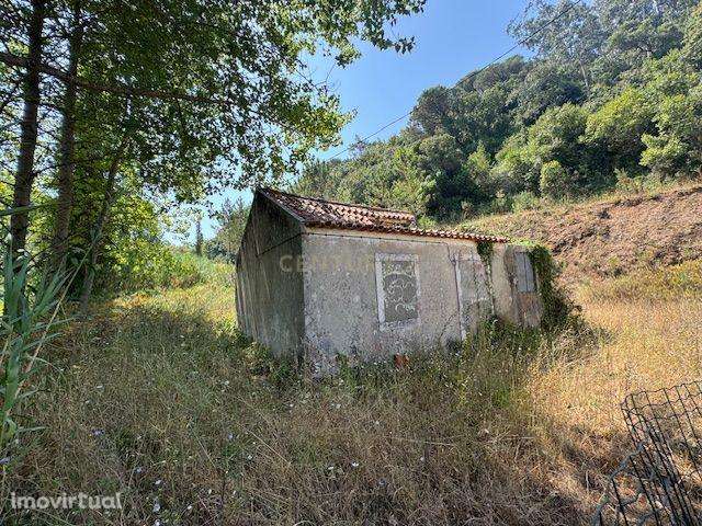 Oportunidade Única Moradia  com terreno para Recuperar - Grande imagem: 5/8