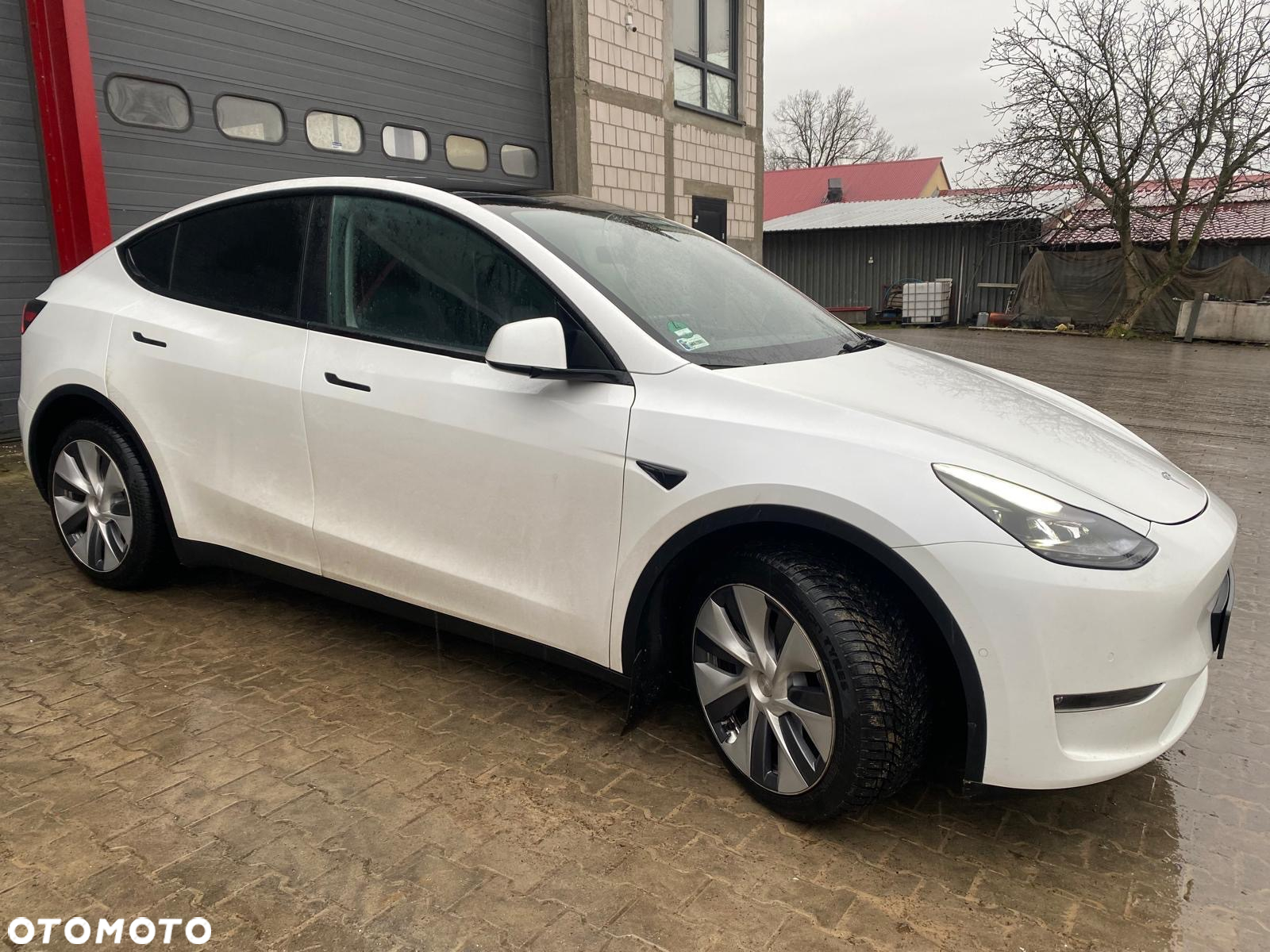 Tesla Y Model RWD - 3