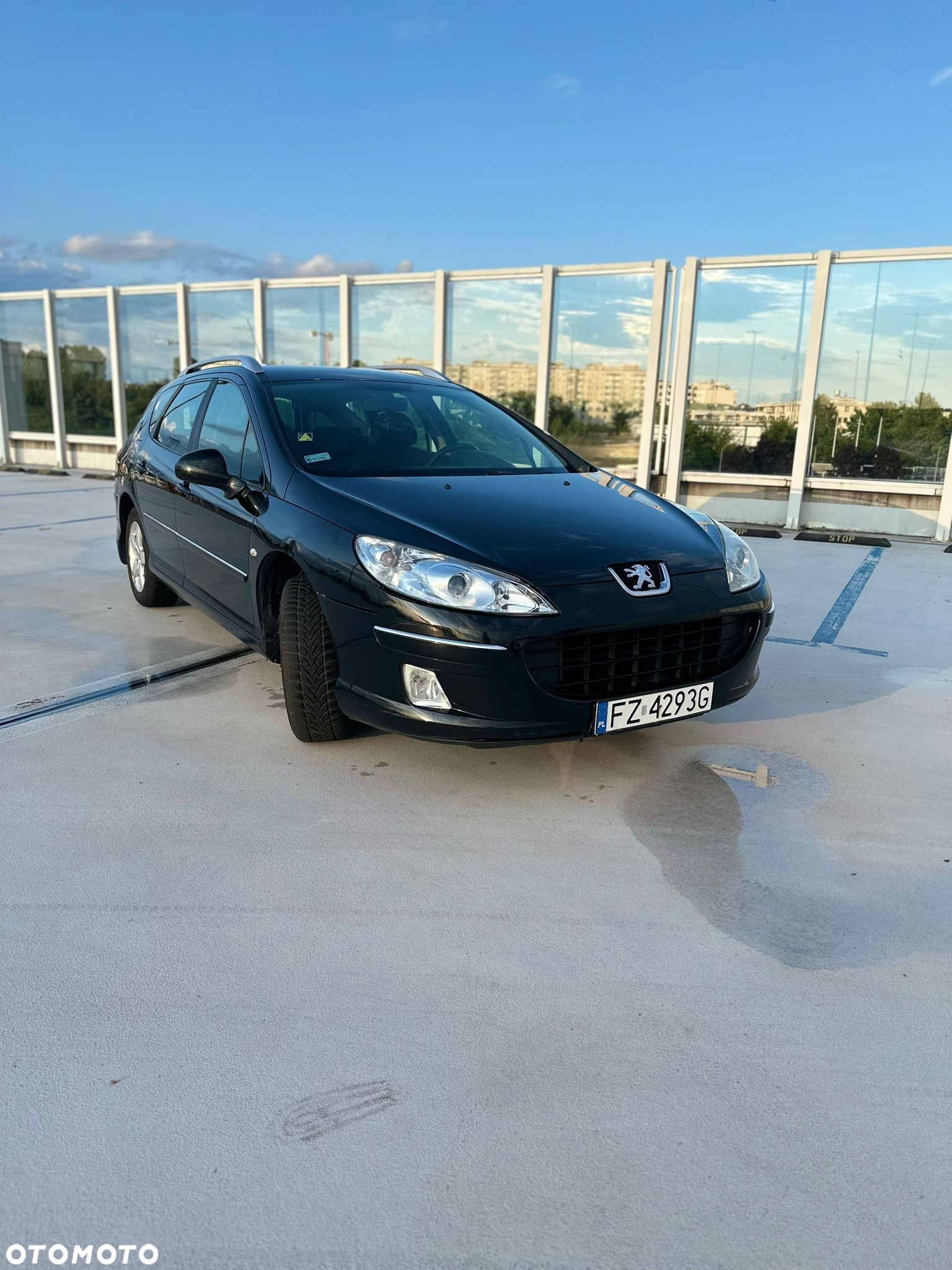 Peugeot 407 - 3