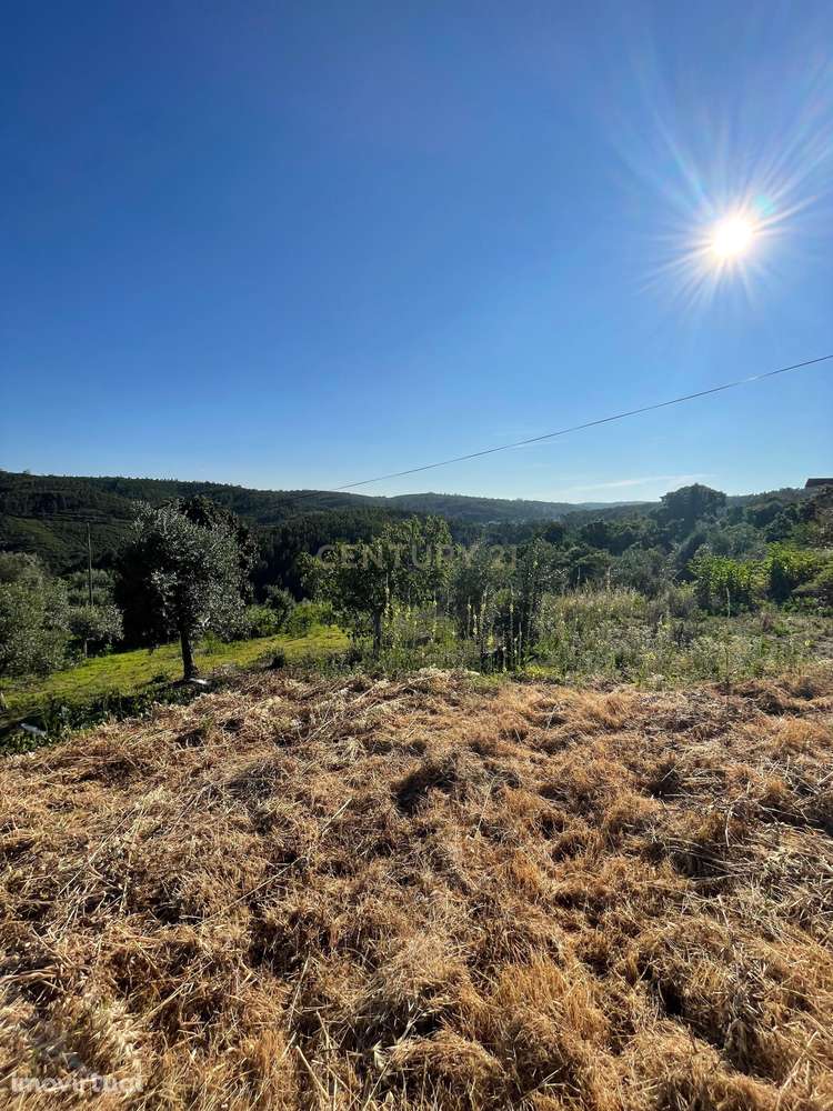 Terreno em Carreira Mato, Aldeia do mato - Grande imagem: 2/8